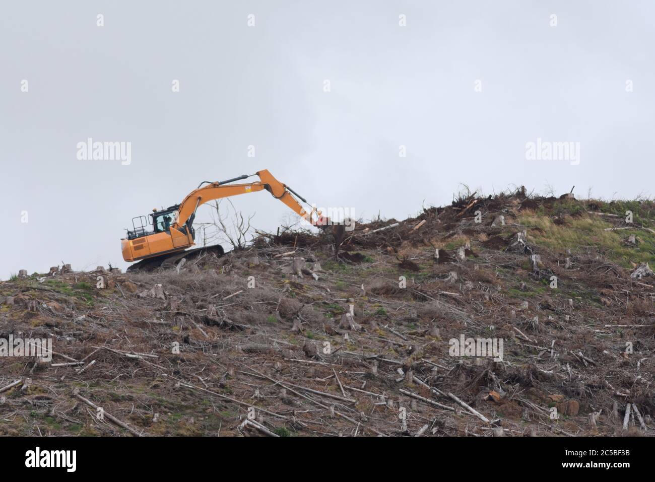 Un digger arancione luminoso contro il cielo grigio chiaro, come funziona su una cresta deforesting. Rimangono solo alberi e ceppi abbattuto. Posizione britannica e foresta. Foto Stock