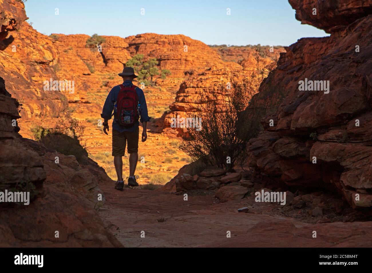 Escursioni a piedi sul Kings Canyon Rim Walk Foto Stock