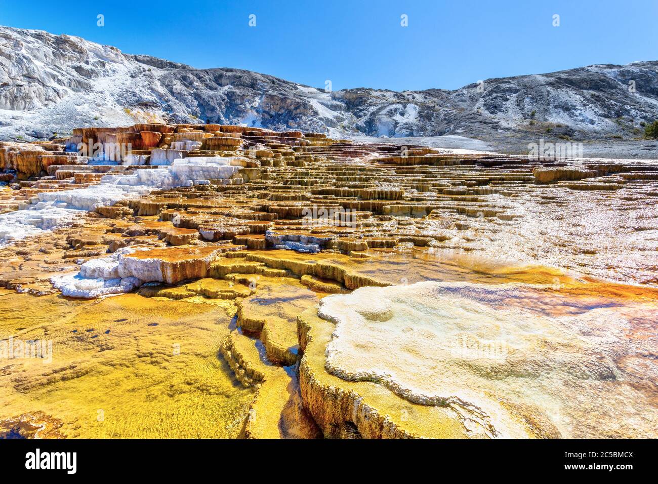 Terrazze Giove e Mound presso le sorgenti termali di Mammoth nel Parco Nazionale di Yellowstone, dove formazioni di travertino e acqua calda fluente plasmano il surreale la Foto Stock