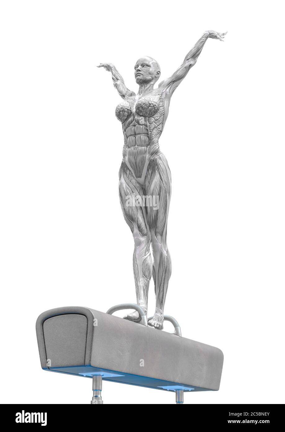 muscolo donna che fa un ginnastica su cavallo pommel in primo piano sfondo bianco, illustrazione 3d Foto Stock muscolo donna che fa un ginnastica su cavallo pommel in primo piano sfondo bianco, illustrazione 3d Foto Stock