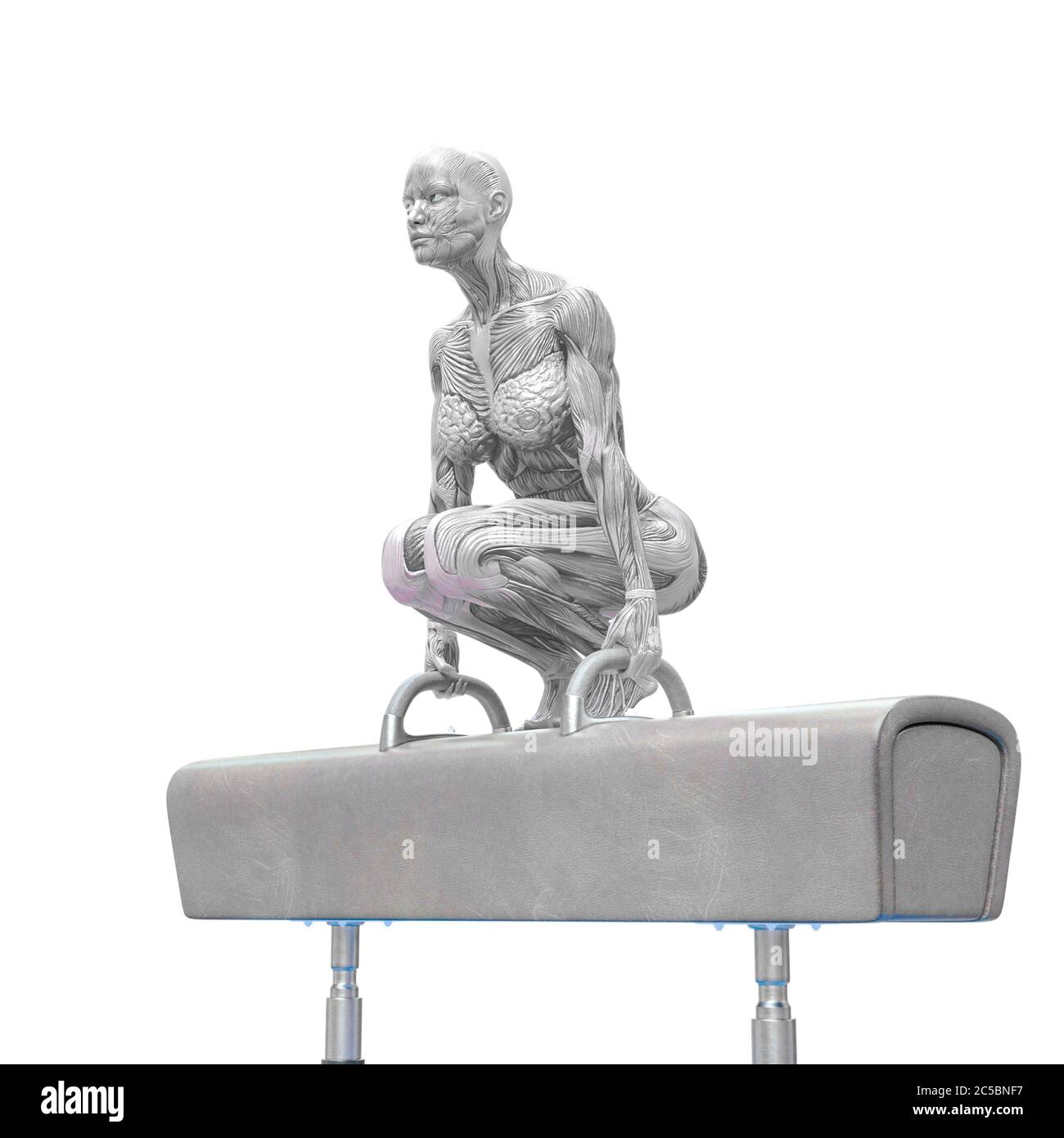 muscolo donna facendo un ginnastica su cavallo pomel posa tre in sfondo bianco, illustrazione 3d Foto Stock muscolo donna facendo un ginnastica su cavallo pomel posa tre in sfondo bianco, illustrazione 3d Foto Stock