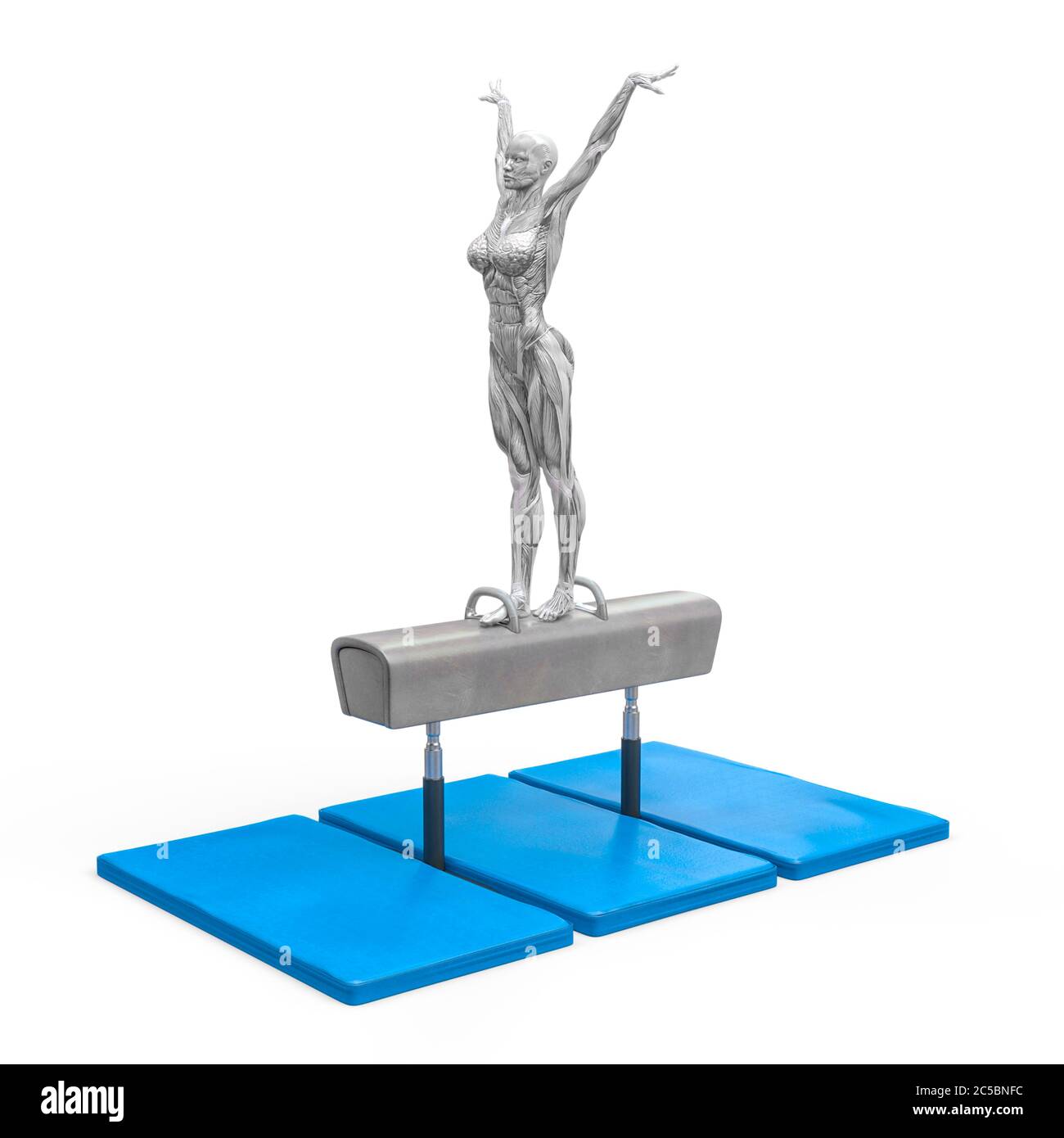 muscolo donna che fa un ginnastica su cavallo pomel in sfondo bianco, illustrazione 3d Foto Stock