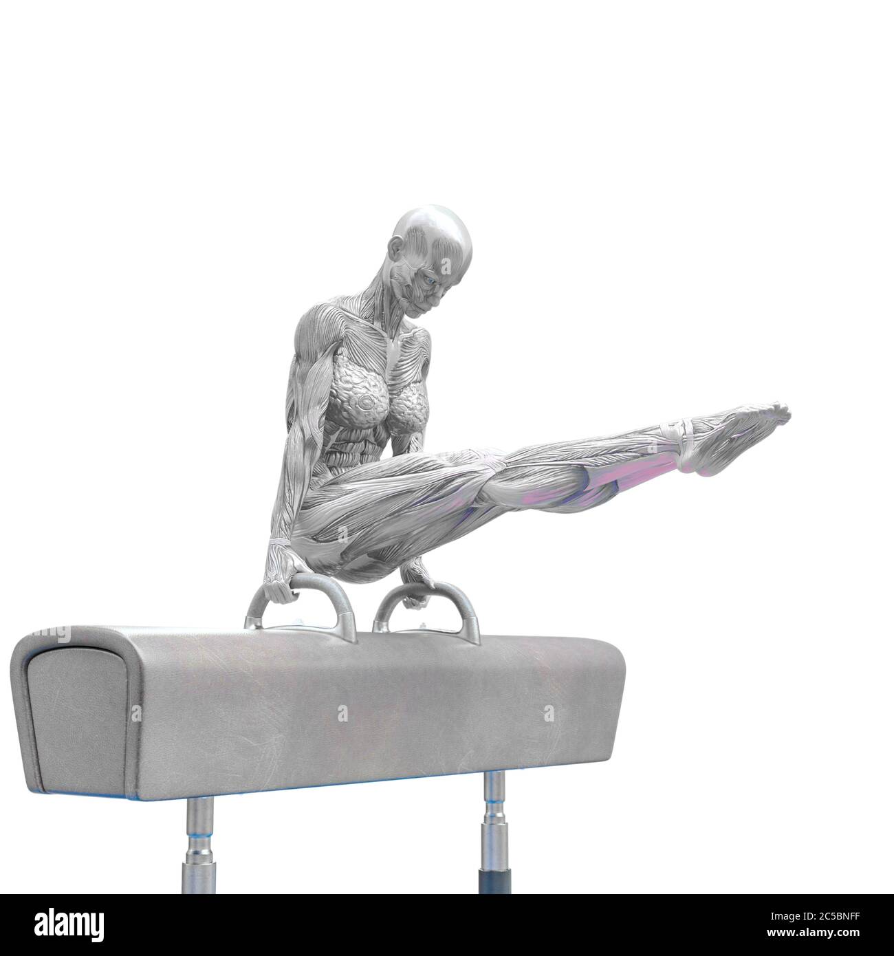 muscolo donna facendo un ginnastica su cavallo pommel posa due in sfondo bianco, illustrazione 3d Foto Stock muscolo donna facendo un ginnastica su cavallo pommel posa due in sfondo bianco, illustrazione 3d Foto Stock
