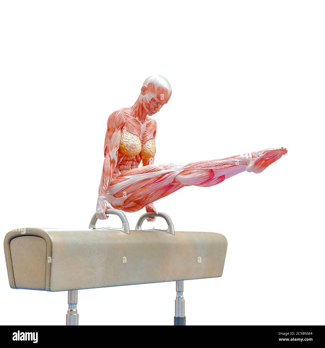 muscolo donna facendo un ginnastica su cavallo pommel posa due in sfondo bianco, illustrazione 3d Foto Stock