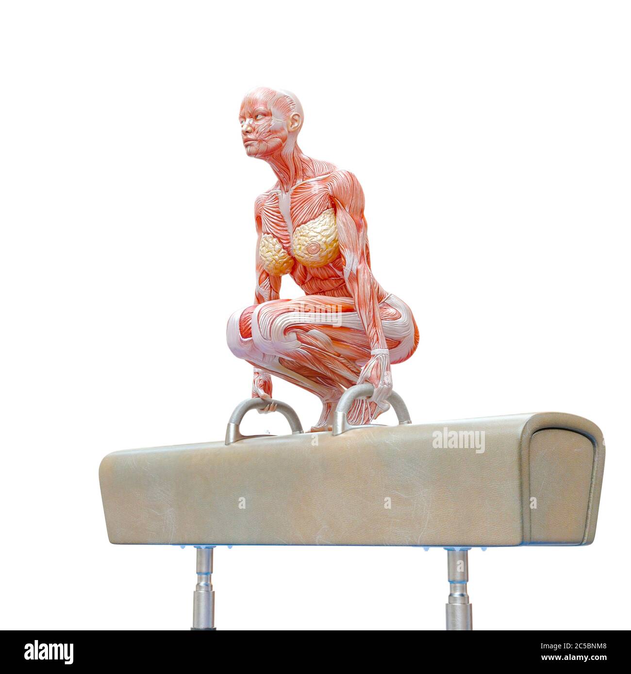 muscolo donna facendo un ginnastica su cavallo pomel posa tre in sfondo bianco, illustrazione 3d Foto Stock muscolo donna facendo un ginnastica su cavallo pomel posa tre in sfondo bianco, illustrazione 3d Foto Stock