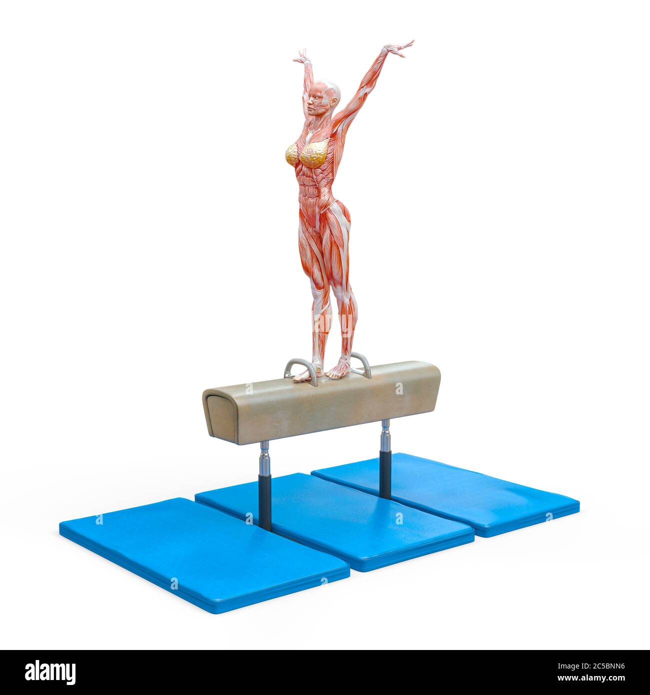 muscolo donna che fa un ginnastica su cavallo pomel in sfondo bianco, illustrazione 3d Foto Stock