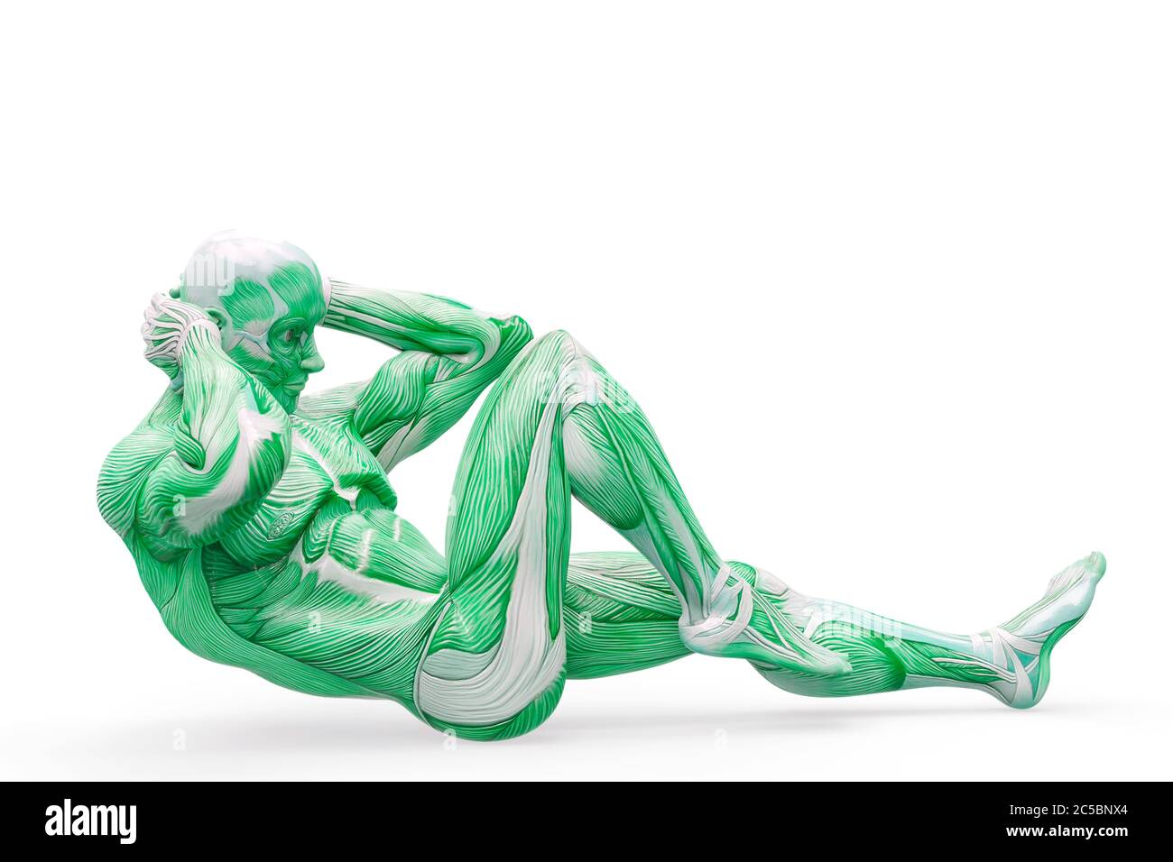 anatomia del muscleman corpo eroico che si cricchiolò su sfondo bianco, illustrazione 3d Foto Stock