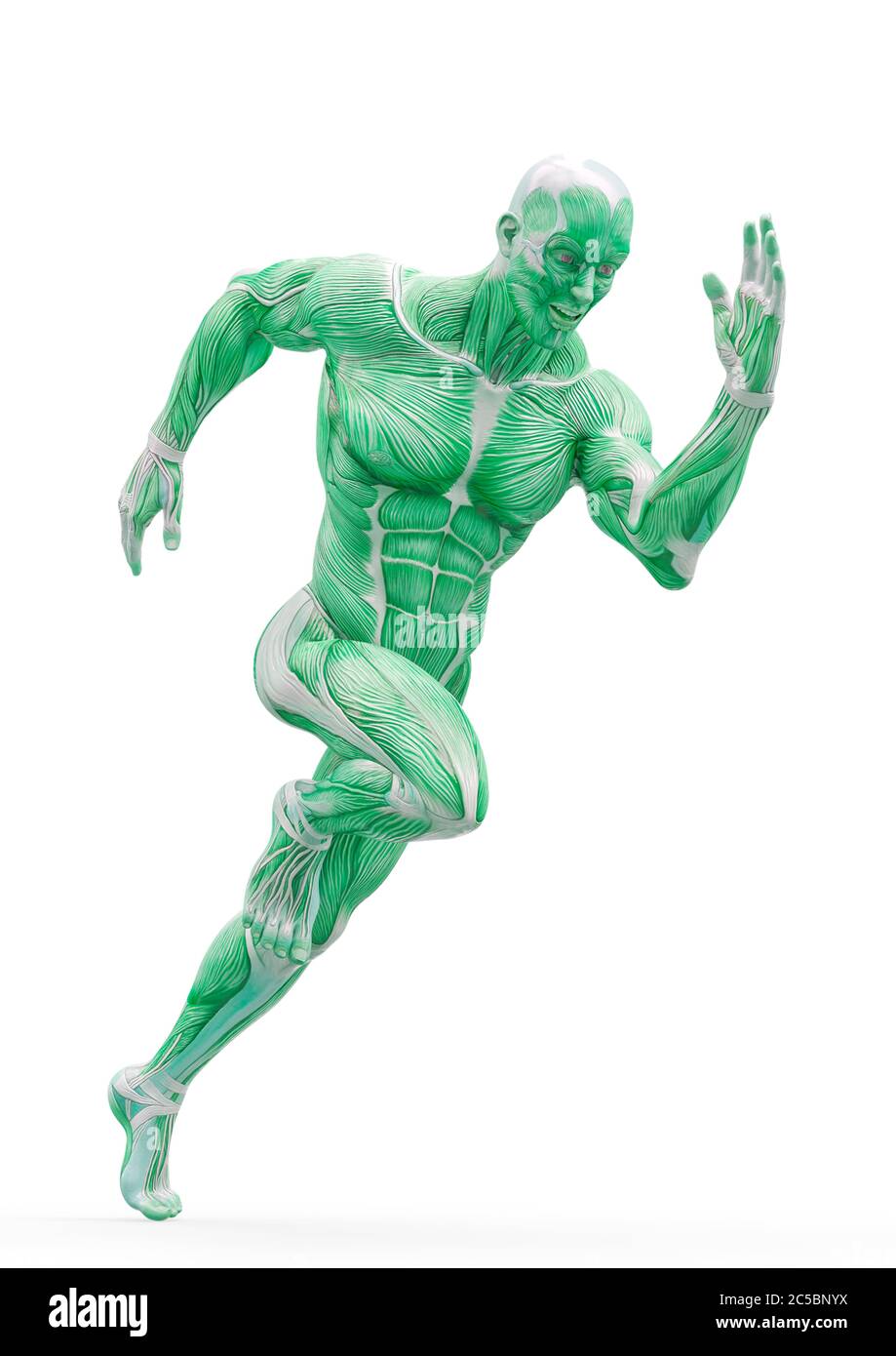 anatomia del muscleman corpo eroico sta correndo in sfondo bianco, illustrazione 3d Foto Stock
