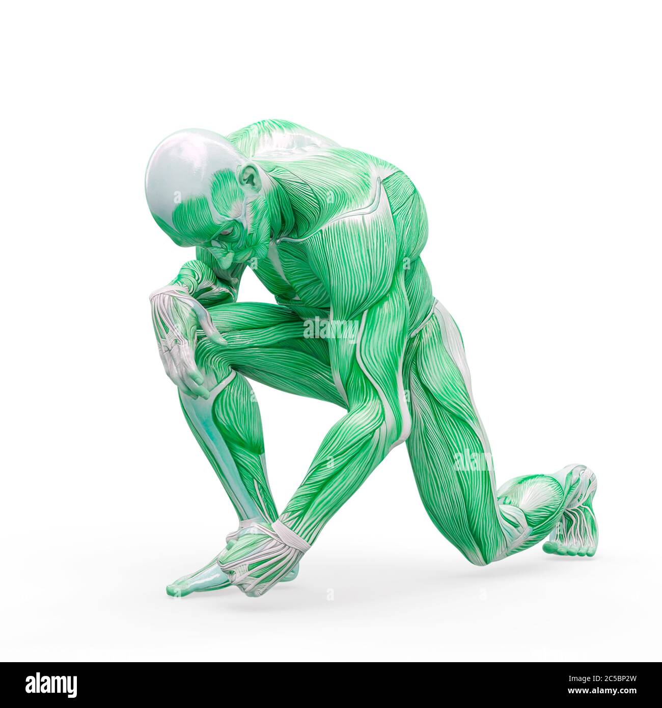 anatomia muscleman corpo eroico su sfondo bianco, illustrazione 3d Foto Stock