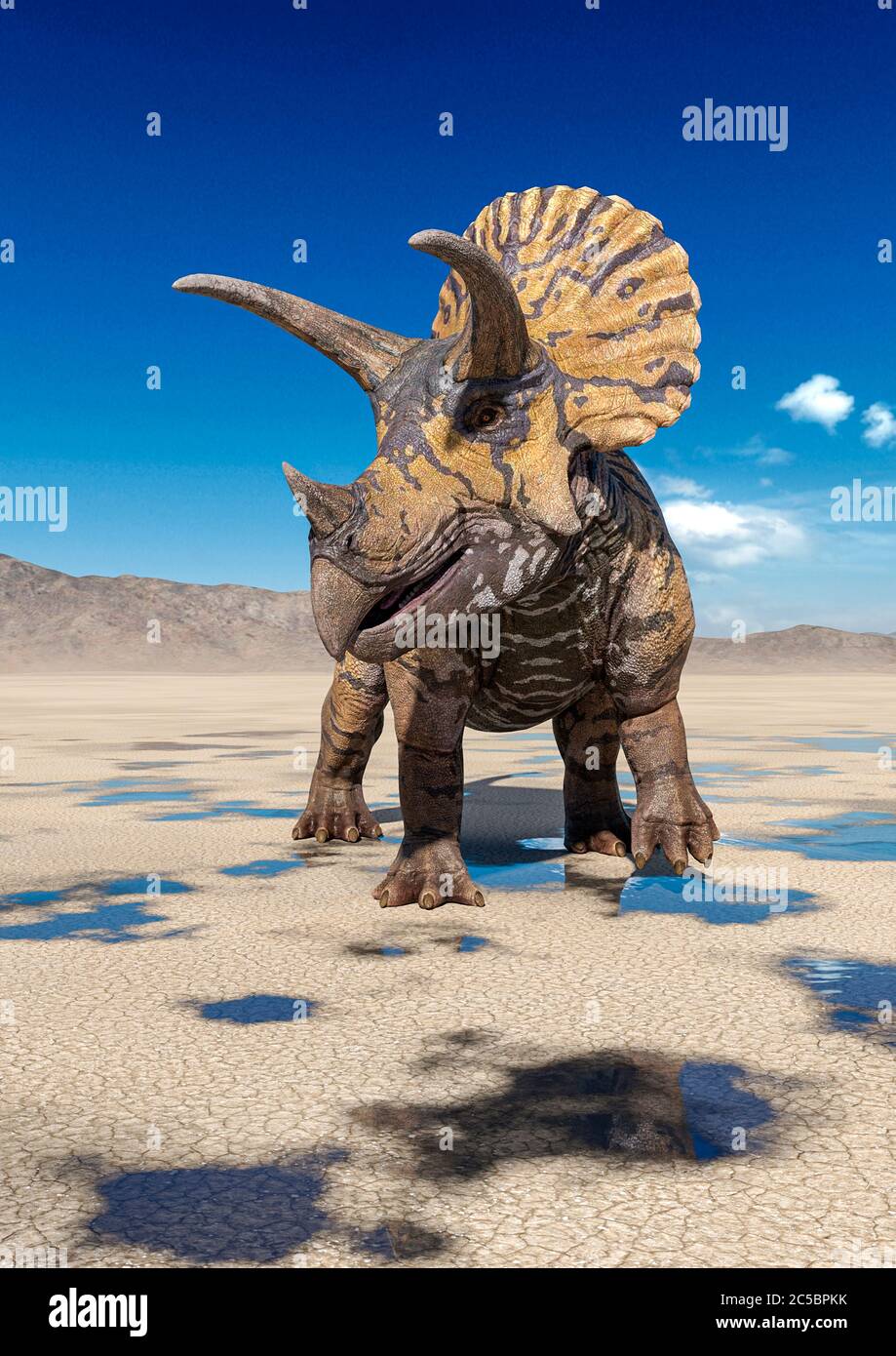 triceratops sul deserto che cammina dopo la pioggia, illustrazione 3d Foto Stock