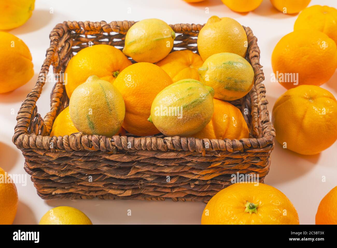 Arance e limoni freschi e maturi biologici si chiudono nel cesto su sfondo bianco Foto Stock