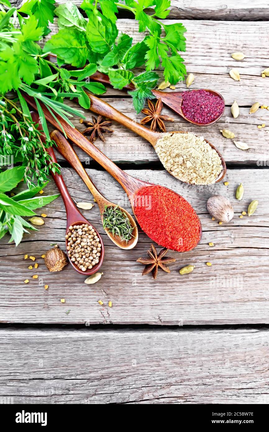 Peperoncino, lo zenzero e coriandolo, timo essiccato e sumac in cucchiai, noce moscata, cardamomo, anice stellato e fieno greco, rosmarino, prezzemolo, timo, menta e saporito Foto Stock