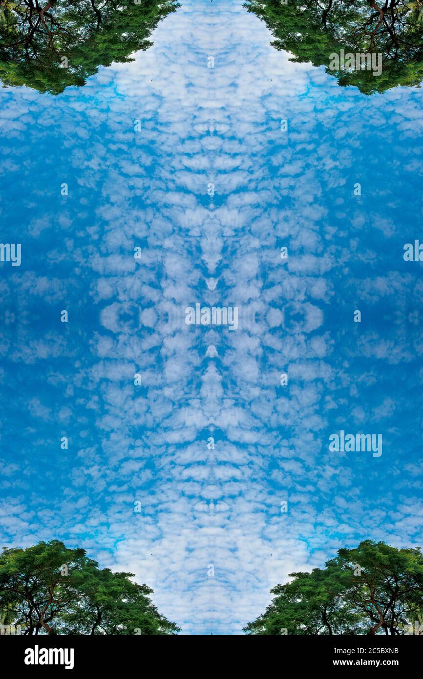 nuvole soffici e verde lussureggiante fogliame alberi di betulla e cielo blu nella foresta pluviale su cornice natura trama prospettiva di fondo Foto Stock
