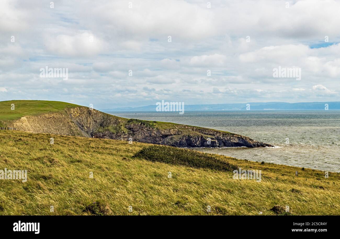 Il naso della strega, o Tweyn y Witch, a Dunraven Bay sulla Glamorgan Heritage Coast vicino a Southerndown all'inizio di luglio 2020. Foto Stock