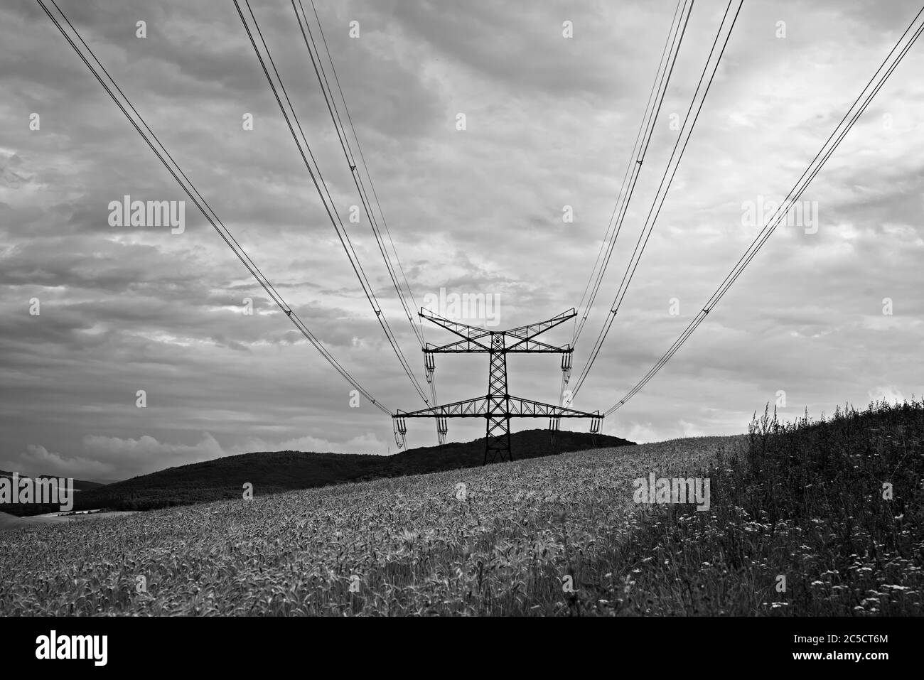 Pali in acciaio massiccio ad alta tensione con linee di fili in testa nel campo a grana dorata con un cielo nuvoloso drammatico. Foto Stock