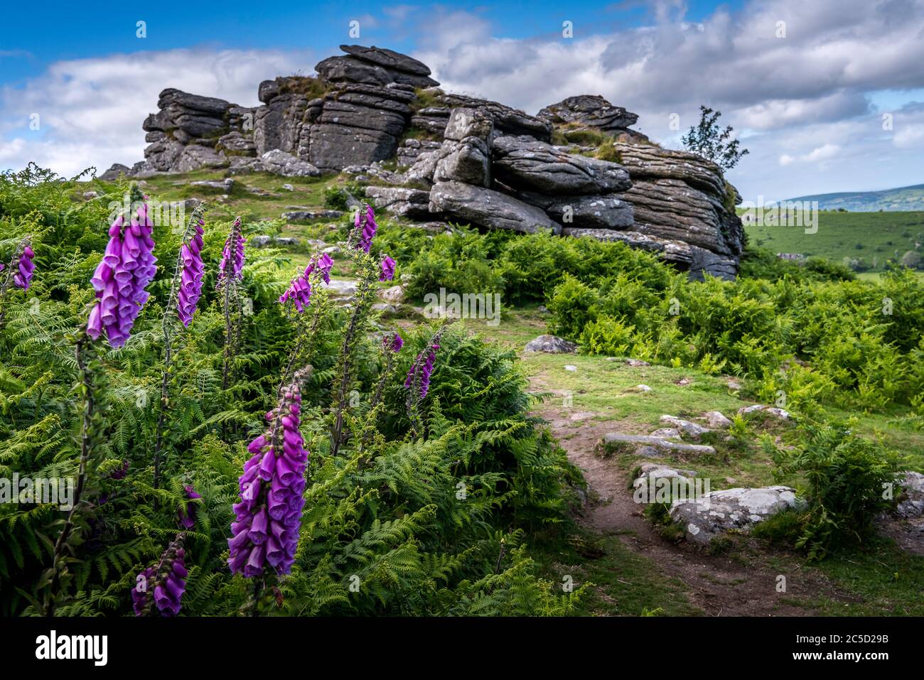 Hound Tor nel Parco Nazionale di Dartmoor, devon. Foto Stock