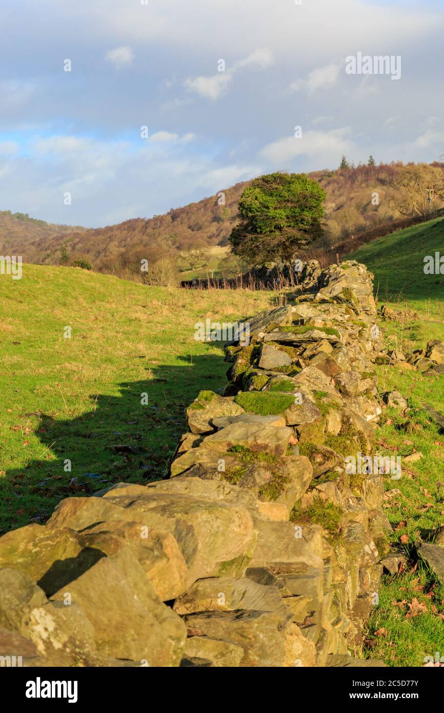 Un muro di pietra nella campagna della Cumbria Foto Stock
