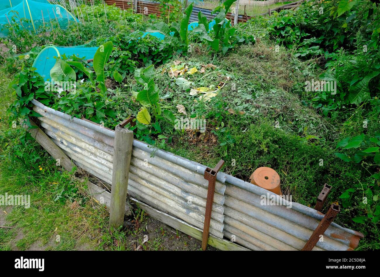 grande mucchio di composto sul giardino di assegnazione, norfolk, inghilterra Foto Stock