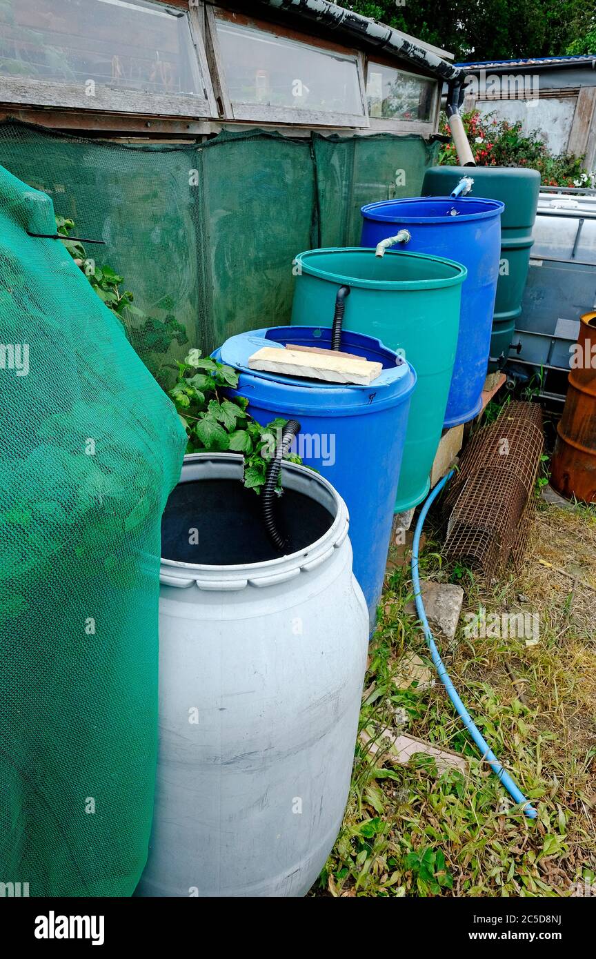 vasche di raccolta dell'acqua piovana nel giardino di assegnazione, norfolk, inghilterra Foto Stock