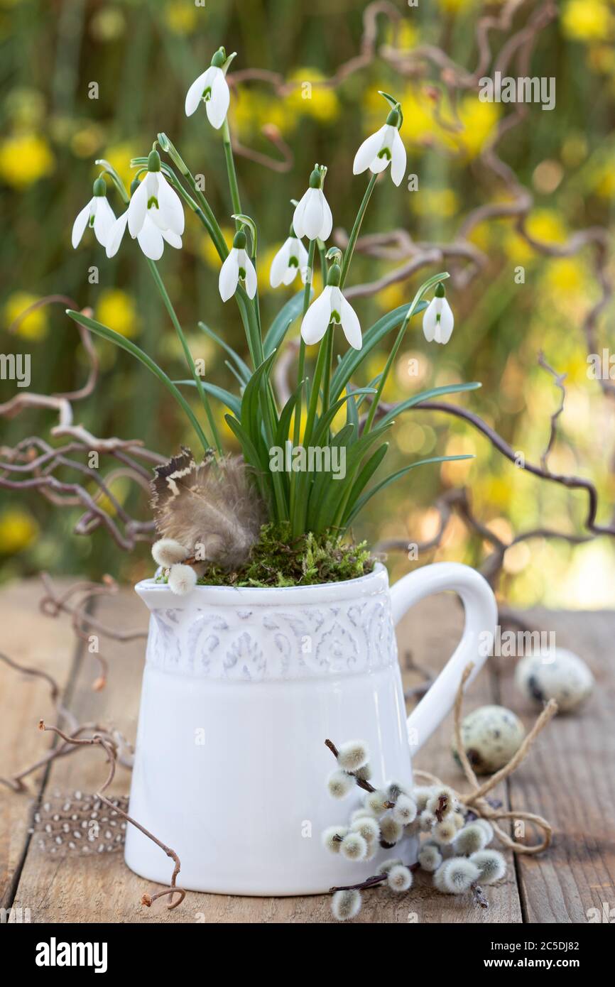 bouquet di gocce di neve in vaso come decorazione primaverile Foto Stock