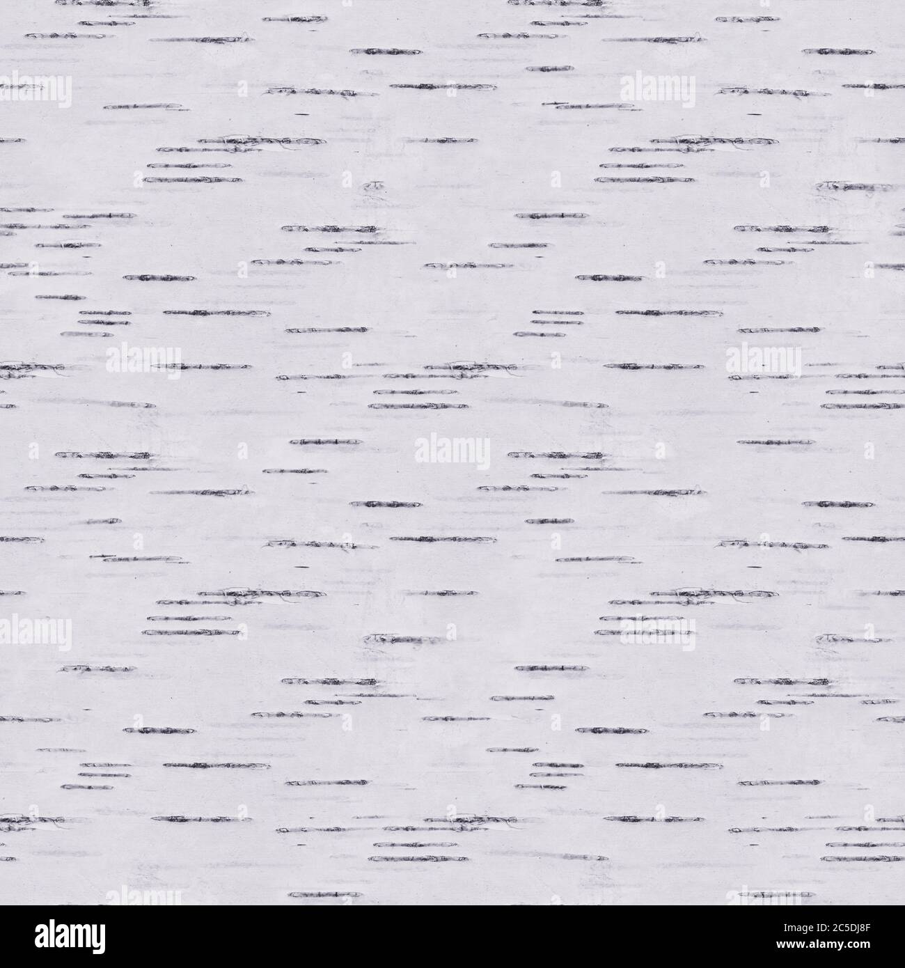 Sfondo naturale - corteccia di betulla bianca e nera, motivo senza cuciture di betulla Foto Stock