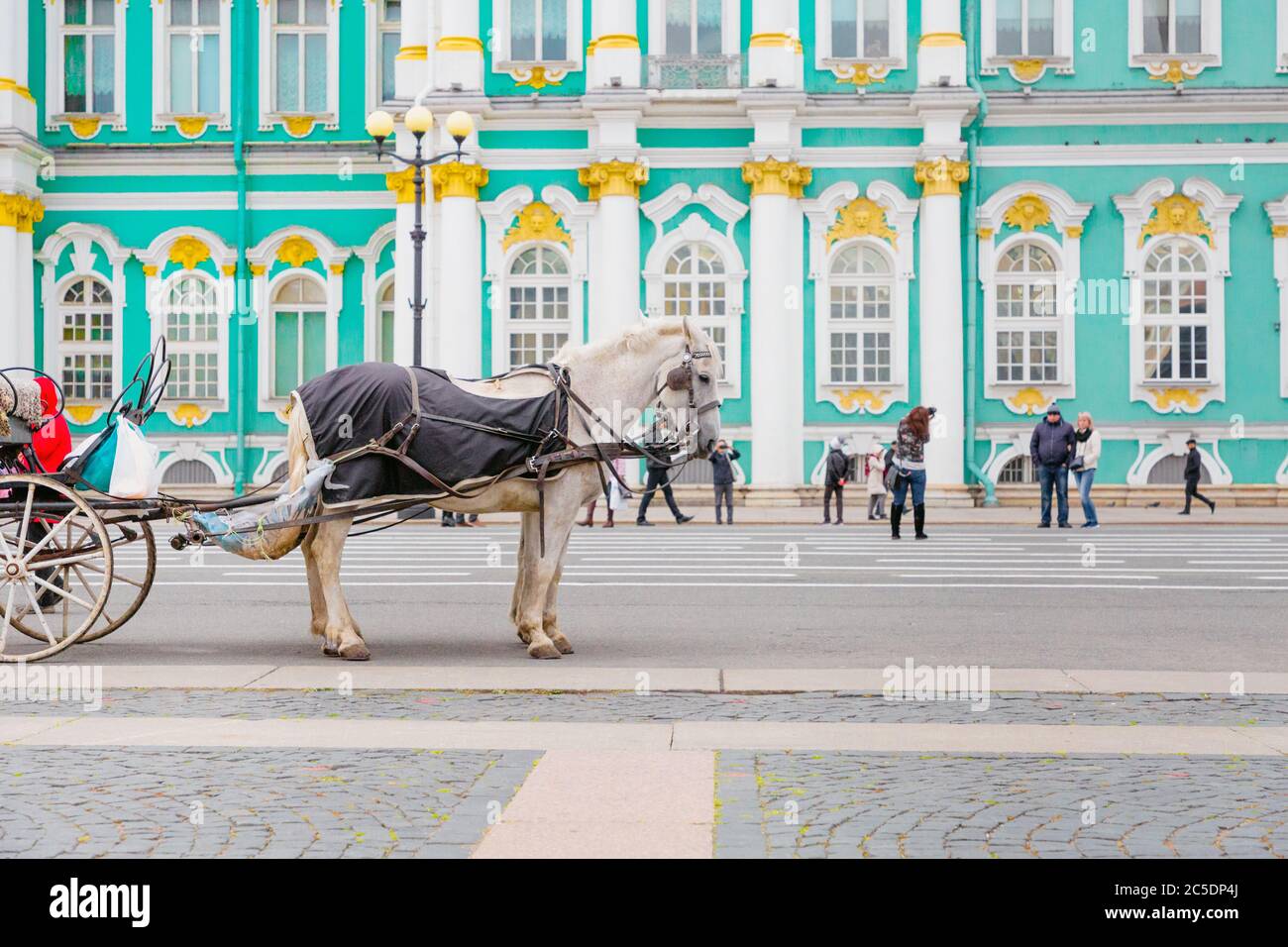 La casa si trova in un imbragatura contro il Museo Hermitage a San Pietroburgo.piano di tiro medio. Foto Stock