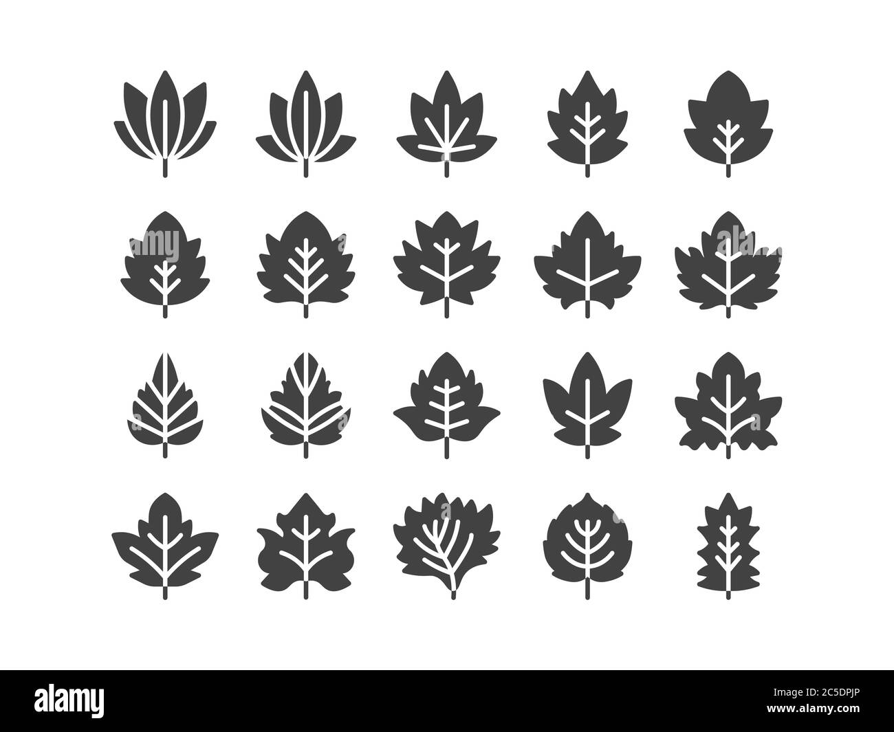 Acero e altre foglie insieme di icone glyph solido Autunno e Primavera concetto stile minimale Illustrazione Vector EPS 10. Illustrazione Vettoriale