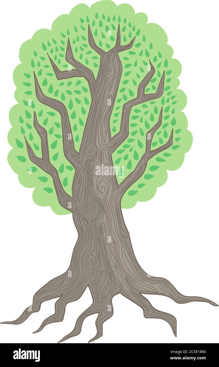Illustrazione vettoriale disegnata a mano con un grande albero vecchio Illustrazione Vettoriale