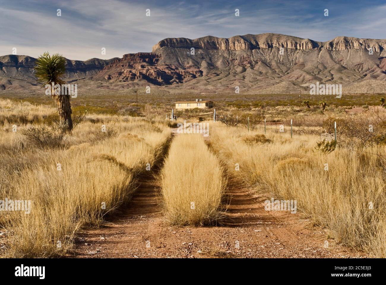 Scanalature in strada sterrata erbosa al Ranch di montagna di spiaggia nella regione di Big Bend, deserto di Chihuahuan vicino a Van Horn, Texas, Stati Uniti Foto Stock