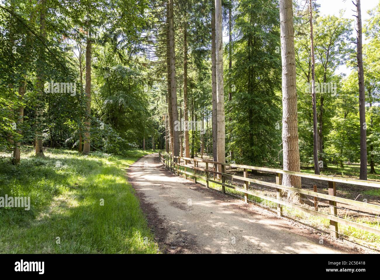 Un sentiero pubblico (anche la Via dei giardini) sul bordo del Guiting Wood sulle colline Cotswold vicino alla frazione di Farmcote, Gloucestershire UK Foto Stock