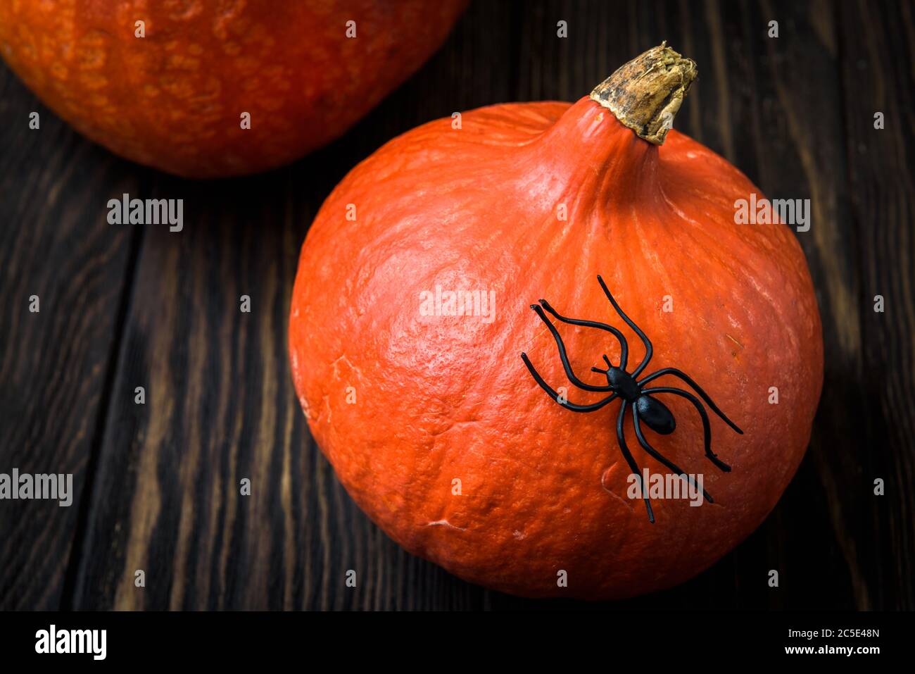Halloween sfondo vacanza con zucche e ragno nero su un tavolo di legno scuro. Primo piano zucche rossastre naturali su tavole vintage per Halloween Foto Stock