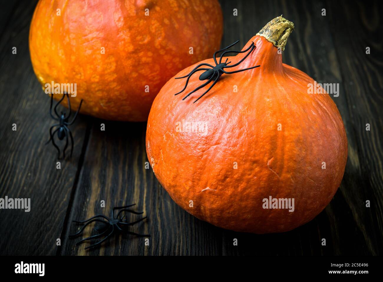 Halloween sfondo vacanza con zucche e ragni neri su un tavolo di legno scuro. Primo piano zucche rossastre naturali su tavole vintage per Halloween Foto Stock