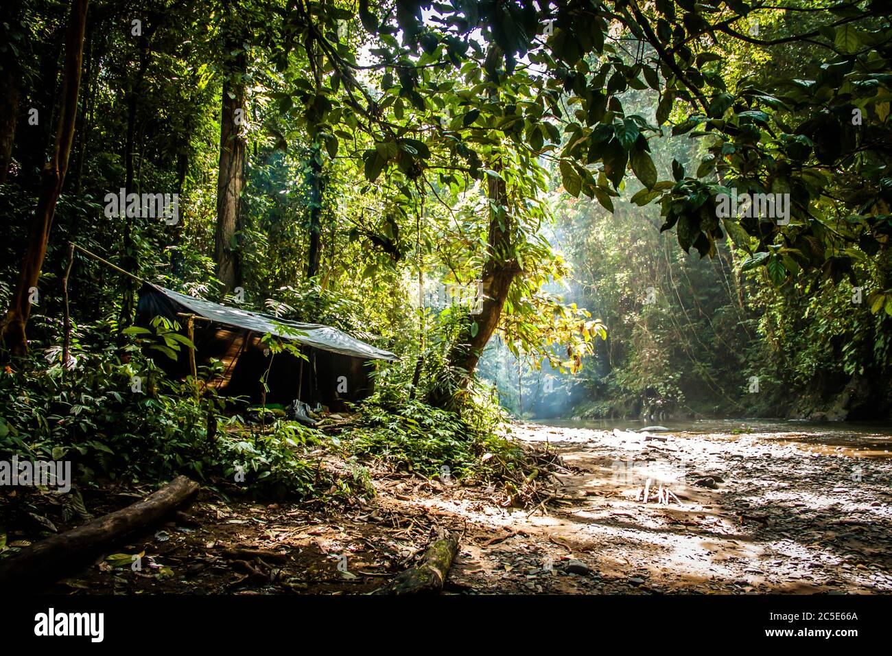 Una tenda aperta e il campeggio nelle foreste pluviali di Sumatra, nel mezzo della giungla profonda Foto Stock