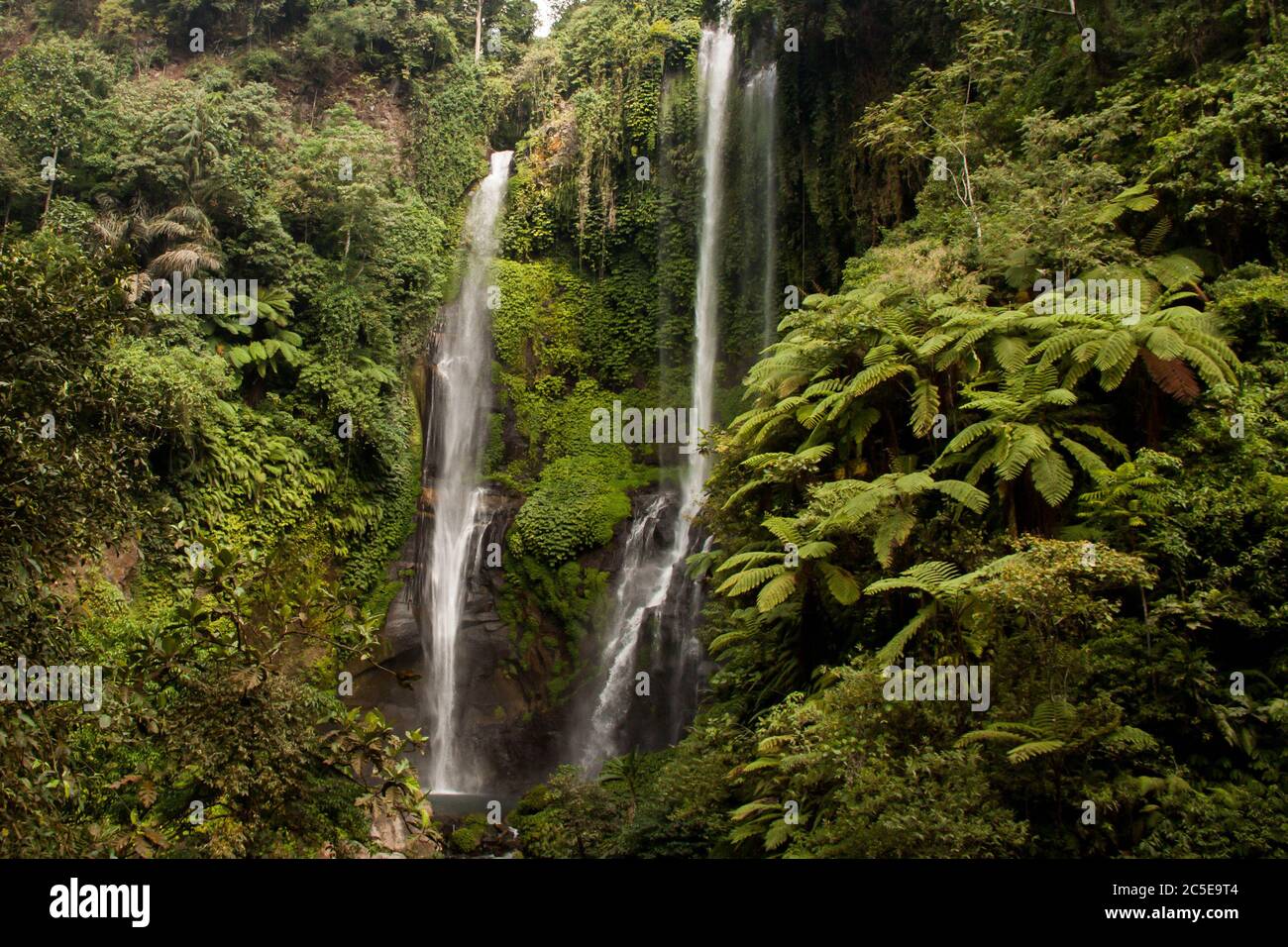 Splendido paesaggio tropicale della cascata Sekumpul a Bali Foto Stock