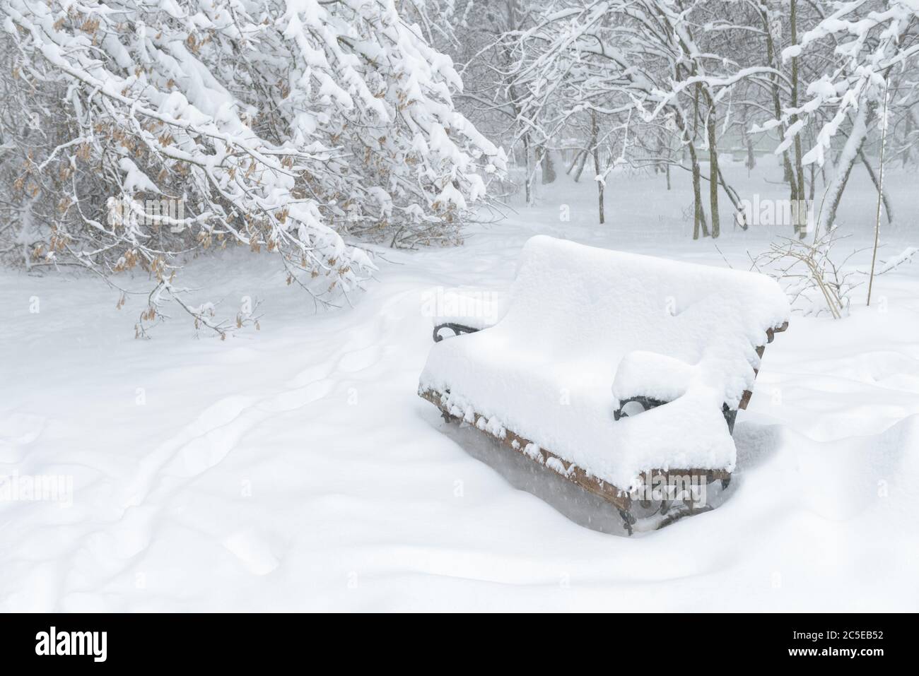 Panca nevosa durante la tempesta di neve nel parco, Mosca, Russia. Sfondo del parco invernale. Panca coperta di neve sulla strada. Panca in una deriva da neve. Nevicate Foto Stock