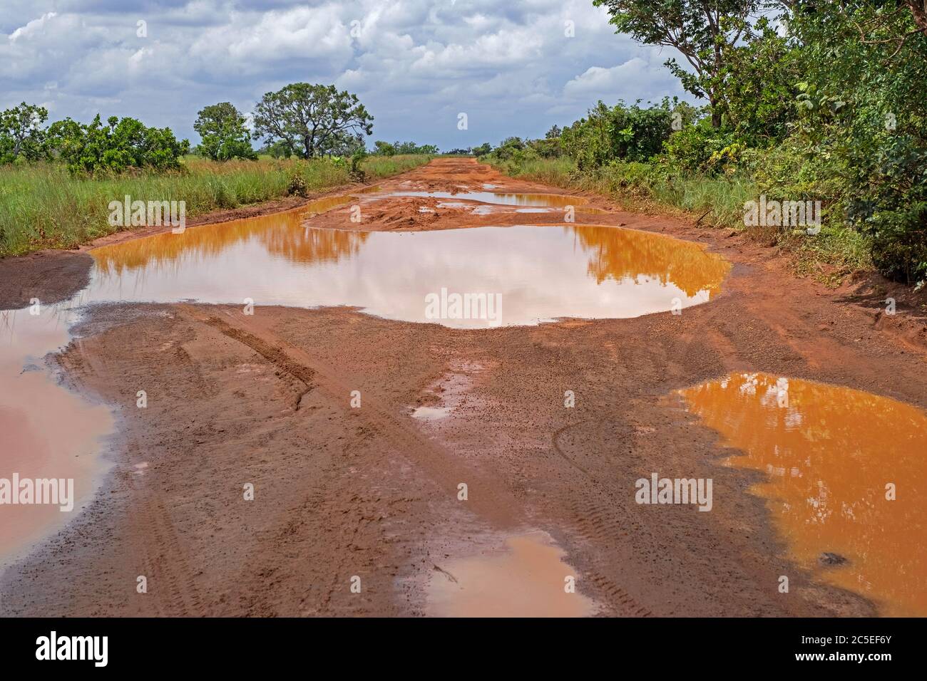 Grandi pozzanghere piovane nel fango rosso della strada sterrata Linden-Lethem che collega Lethem e Georgetown nella stagione delle piogge, Guyana, Sud America Foto Stock