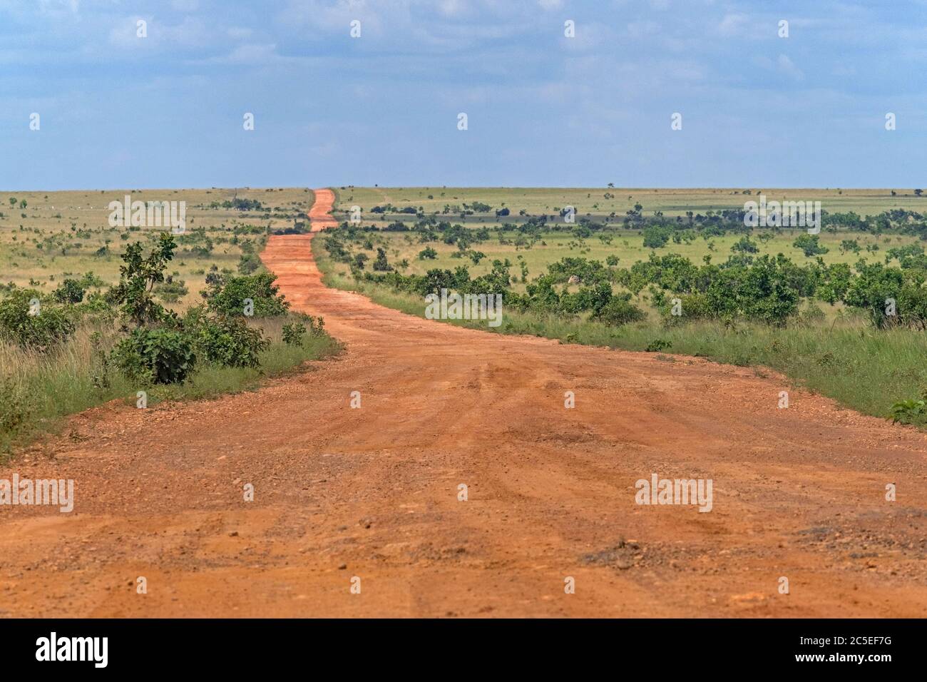 Pista Linden-Lehem, strada sterrata rossa che collega Lethem e Georgetown attraverso la savana, Guyana, Sud America Foto Stock