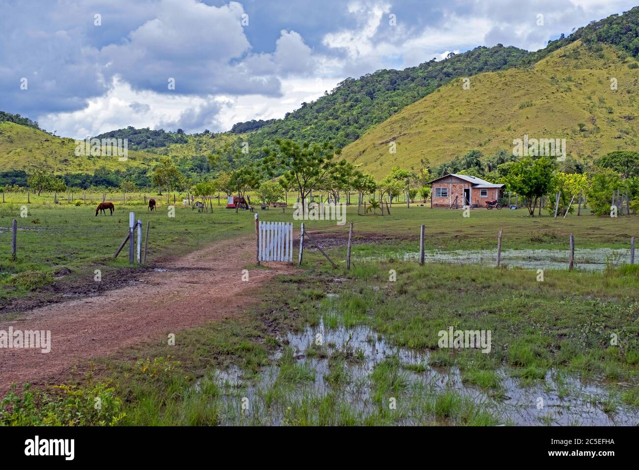 Piccola casa colonica sulla savana lungo la strada sterrata Linden-Lethem che collega Lethem e Georgetown nella stagione delle piogge, Guyana, Sud America Foto Stock