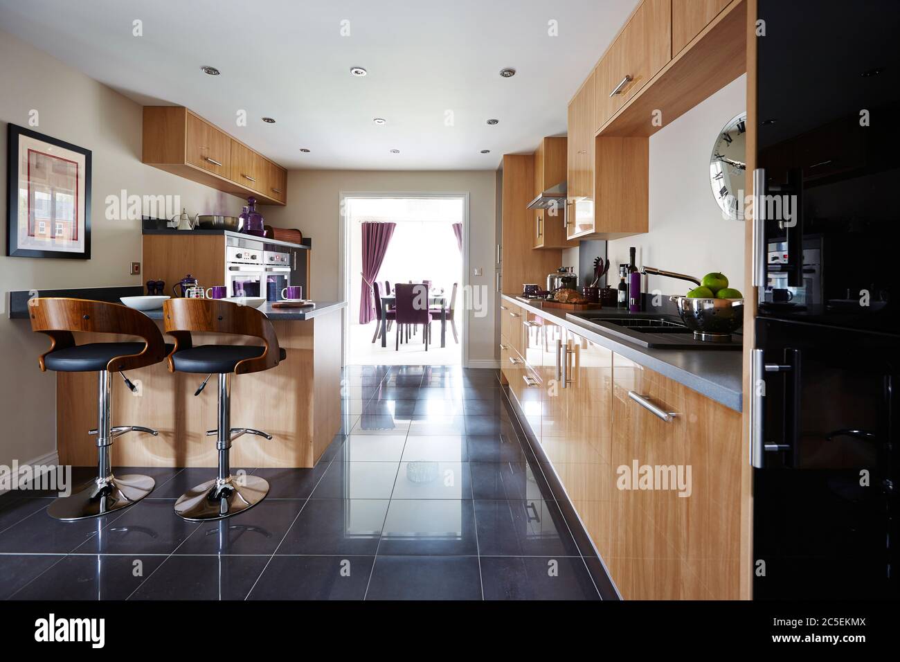 Foto di una moderna ed elegante cucina di lusso in un appartamento Foto Stock