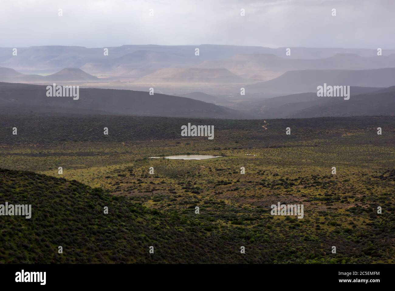 Il veldo Tankwa Karoo, tra i monti Cederberg e Hantam, Capo Occidentale, Sud Africa, riempito di fiori selvatici gialli durante un freddo e nebbiosa Foto Stock