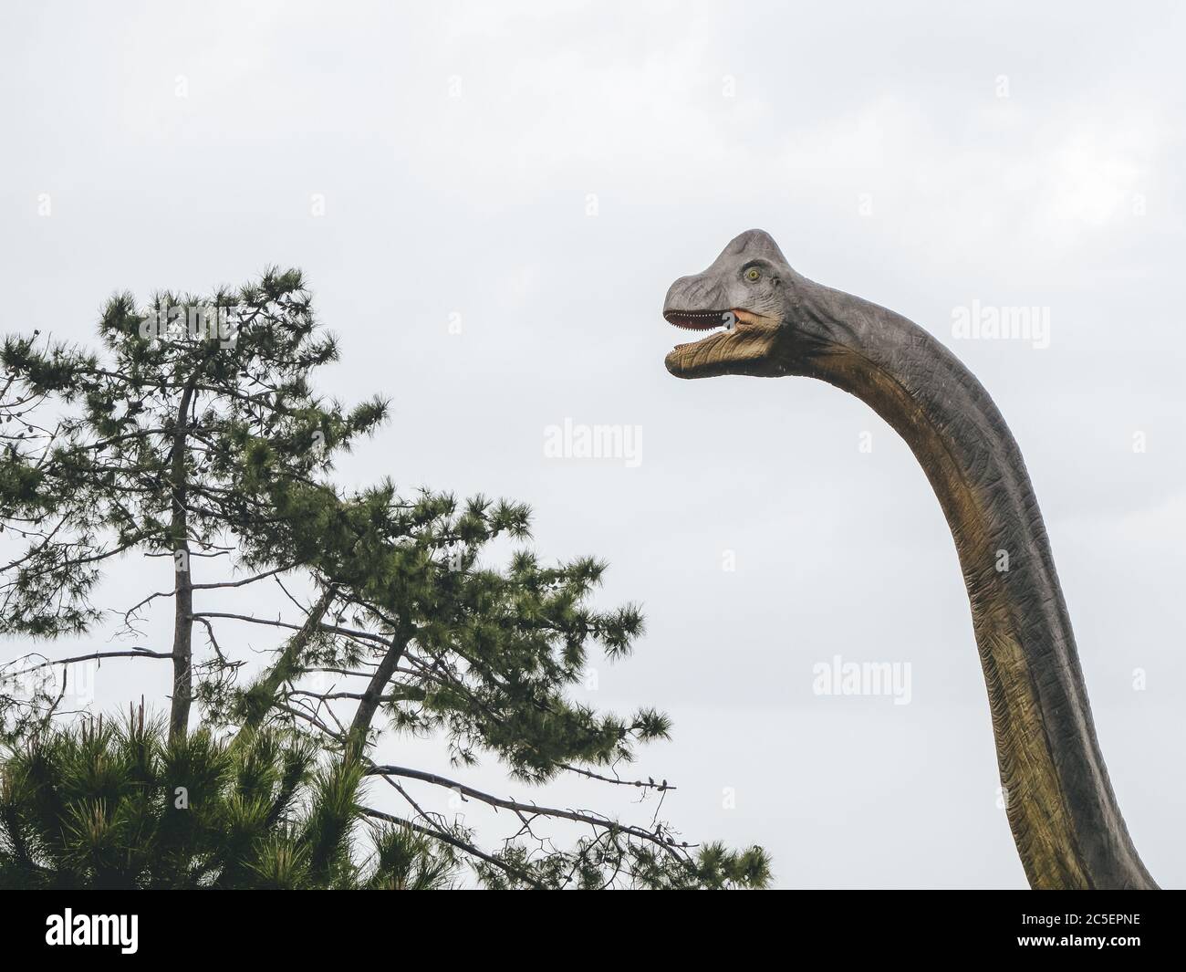 Russia, Sochi 14.03.2020. Testa della statua del braciosauro con un lungo collo accanto ad un albero contro il cielo Foto Stock