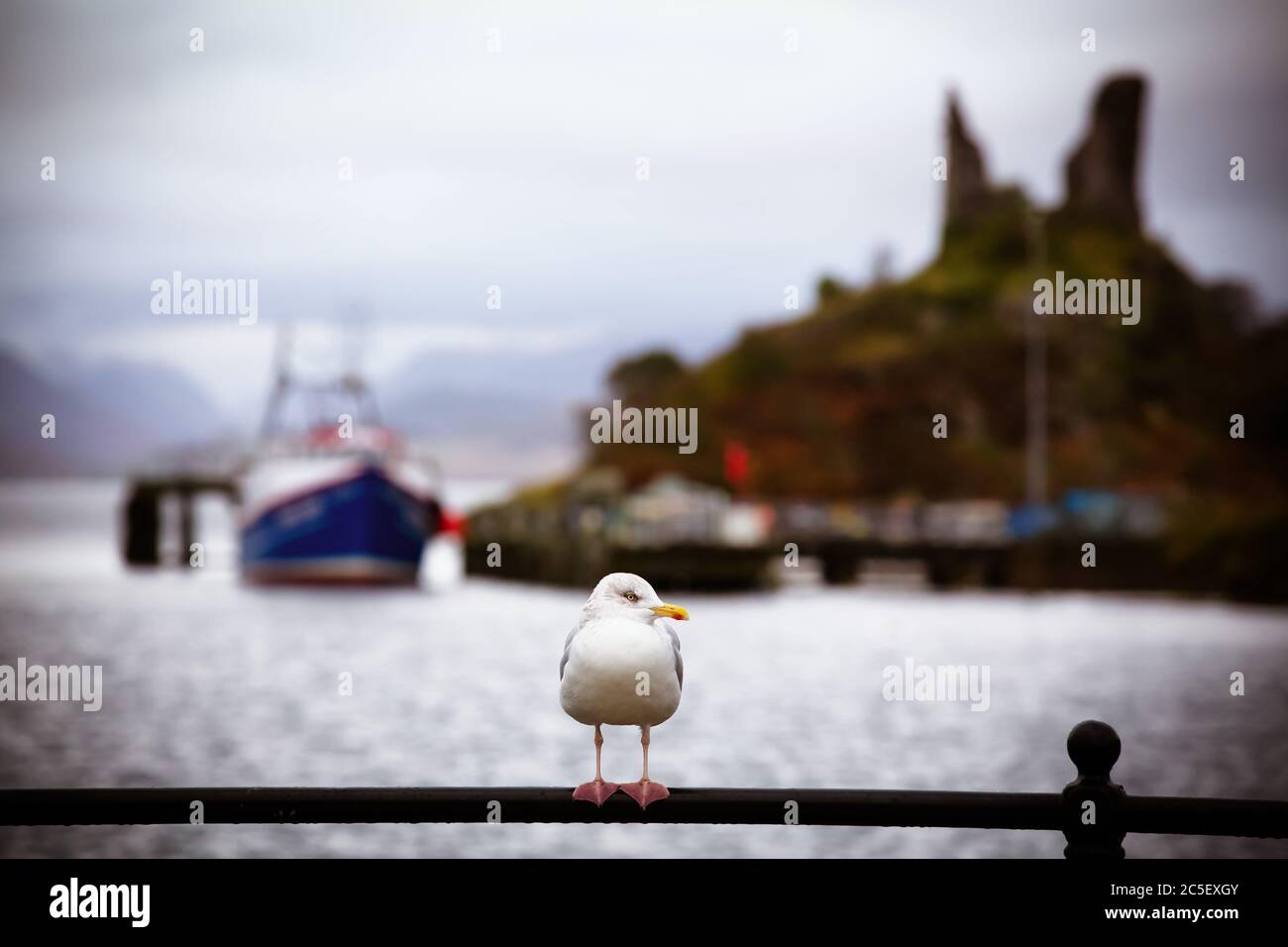 Seagull sulla ferrovia del porto, Kyleakin, Isola di Skye, Scozia. Elaborazione nostalgica intenzionale con profondità di campo poco profonda, che mostra porto e Castello Foto Stock