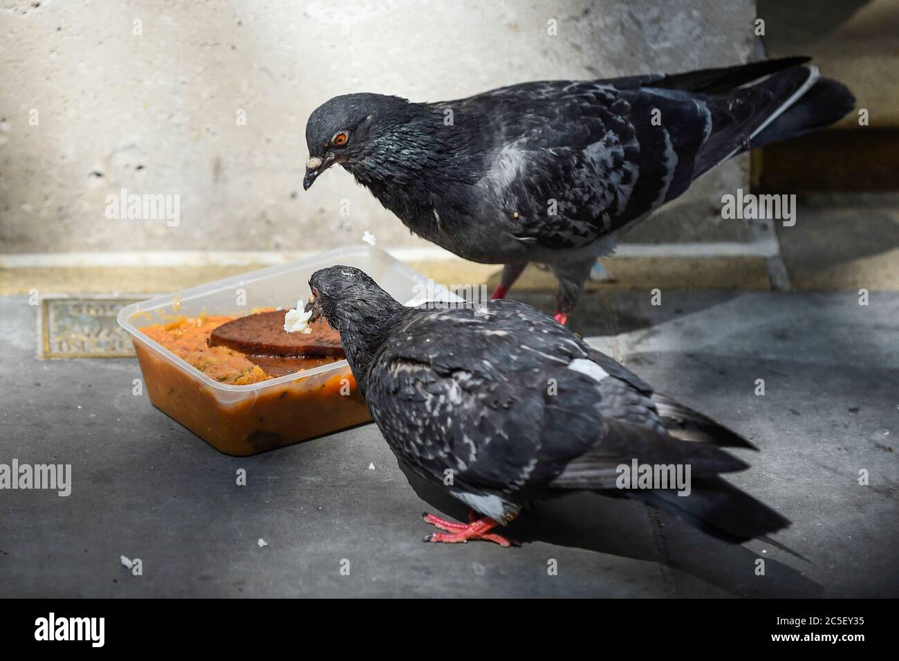 Londra, Regno Unito. 2 luglio 2020. I piccioni ferali (Columba livia domestica) festeggia con un pasto da asporto scartato in Northumberland Avenue. Credit: Stephen Chung / Alamy Live News Foto Stock