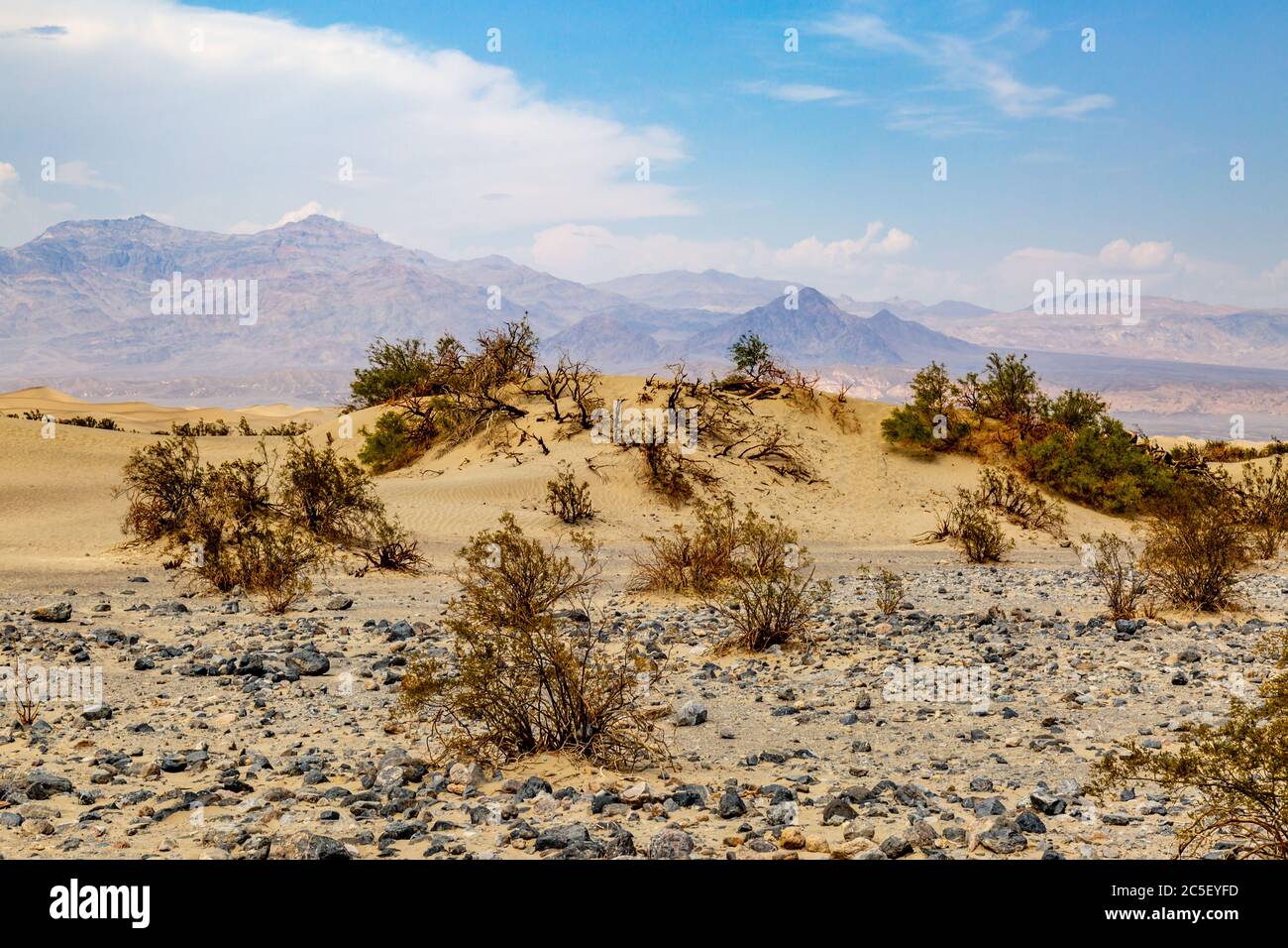 Le dune di sabbia di Mesquite Flat e le montagne distanti, nel Death Valley National Park, California Foto Stock