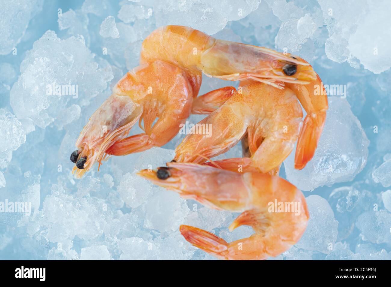gamberi e spicchi di limone giacciono sul ghiaccio Foto Stock