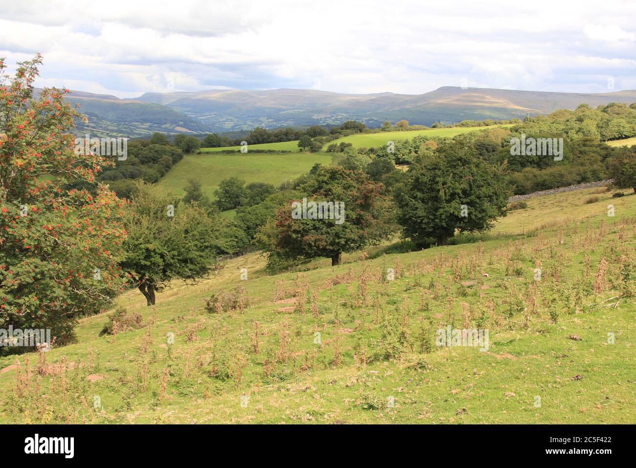 Le strade secondarie del Galles del Nord Foto Stock