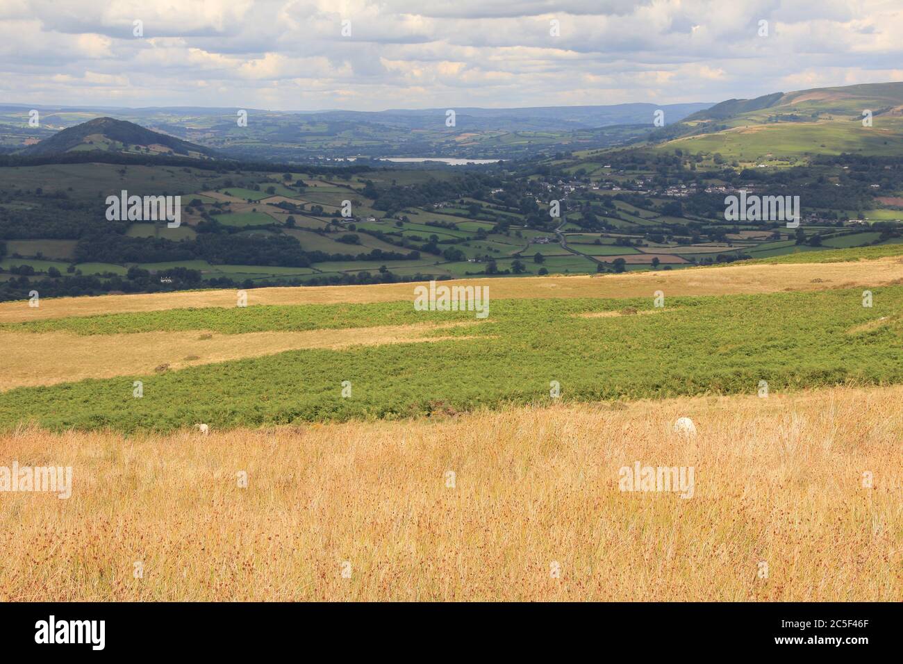 Le strade secondarie del Galles del Nord Foto Stock