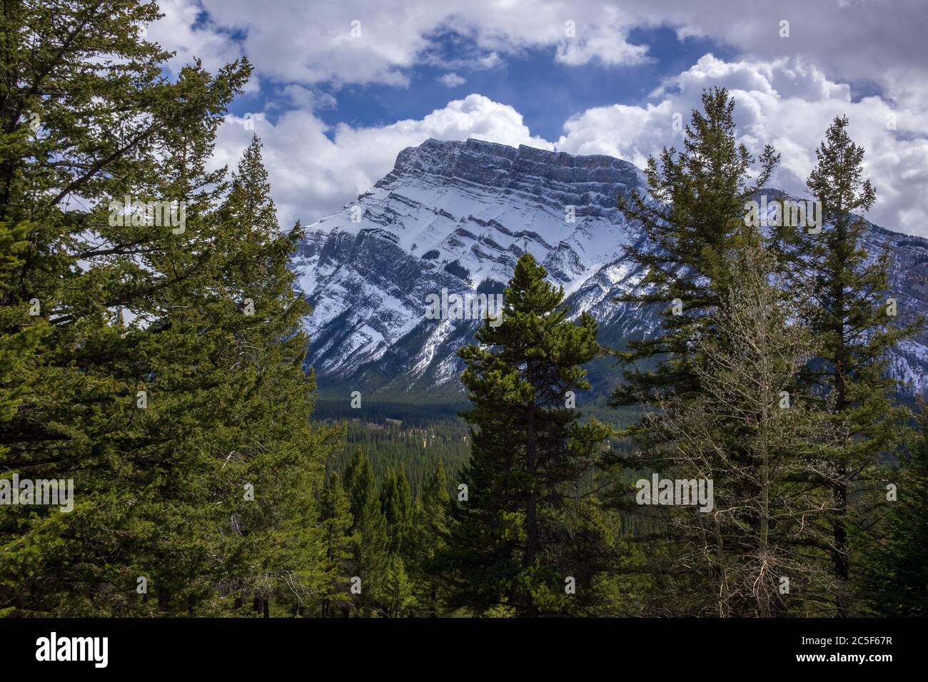 Neve coperta Montagne Rocciose Canadesi vicino Banff Alberta le Montagne Rocciose UNA delle principali attrazioni turistiche primorile all'inizio di maggio Foto Stock