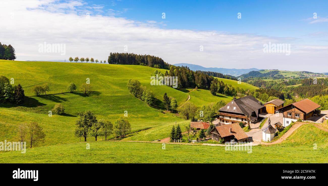 Casa Foresta Nera vicino a St. Maergen, fattoria, Foresta Nera alta, Foresta Nera, Baden-Wuerttemberg, Germania Foto Stock