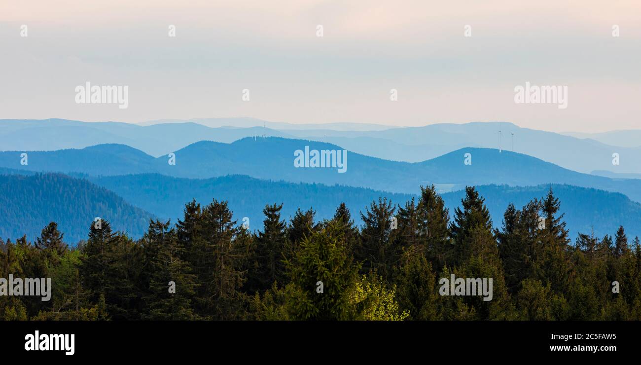 Vista da Schliffkopf, paesaggio collinare boscoso, Parco Nazionale della Foresta Nera, Foresta Nera settentrionale, Foresta Nera, Baden-Wuerttemberg, Germania Foto Stock